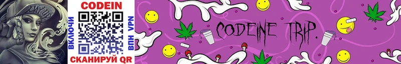 Купить закладки  Кудымкар  Кодеин напиток Lean (лин) 