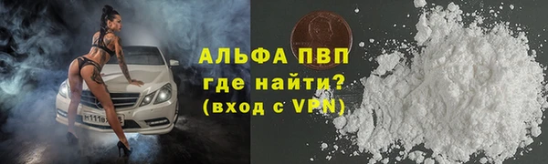 PSILOCYBIN Инта