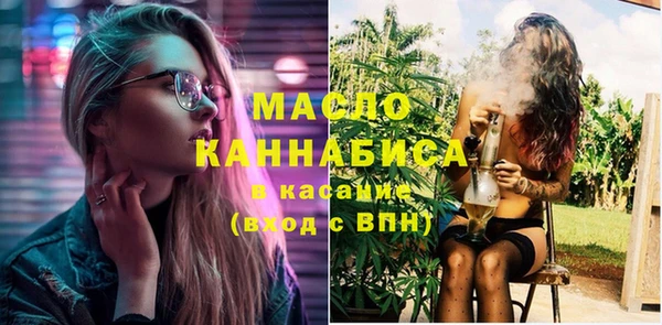 гидра Инсар