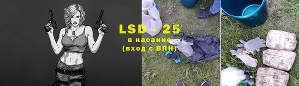 PSILOCYBIN Инта