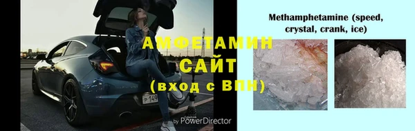гидра Инсар