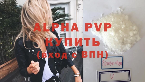 PSILOCYBIN Инта