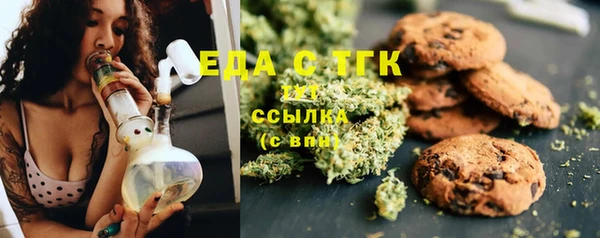 гидра Инсар