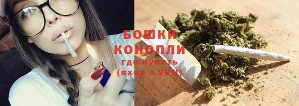 apvp Иннополис