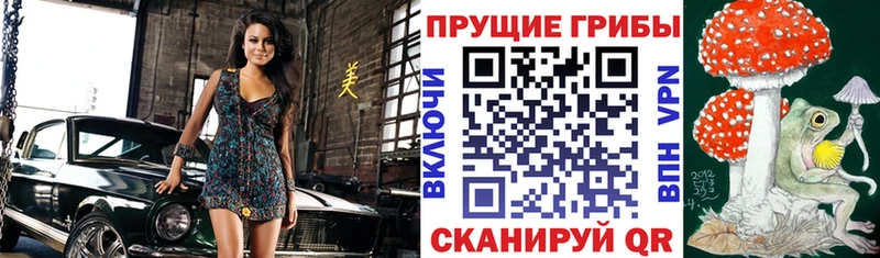 Галлюциногенные грибы GOLDEN TEACHER  Купить  Кудымкар 